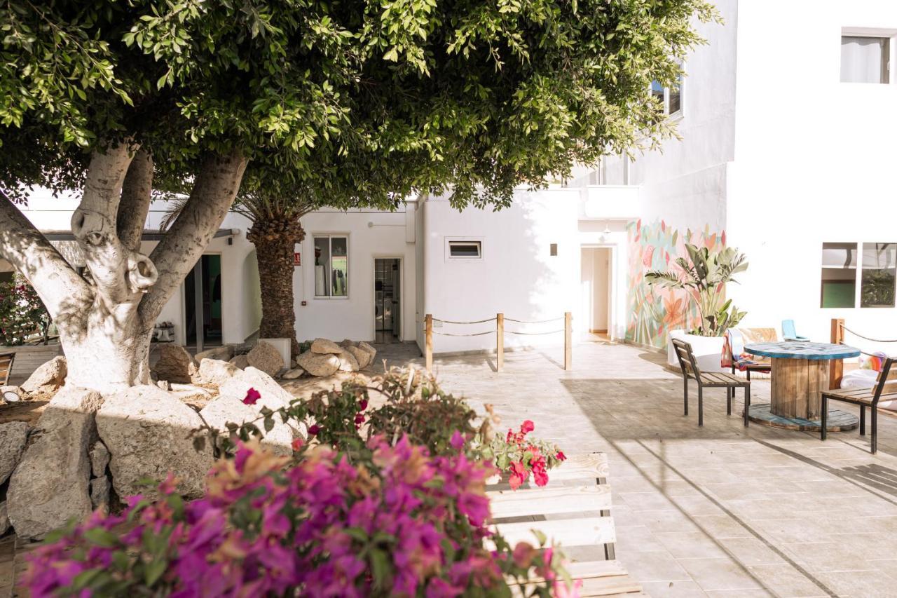 The Tree House Tenerife El Medano  Ngoại thất bức ảnh