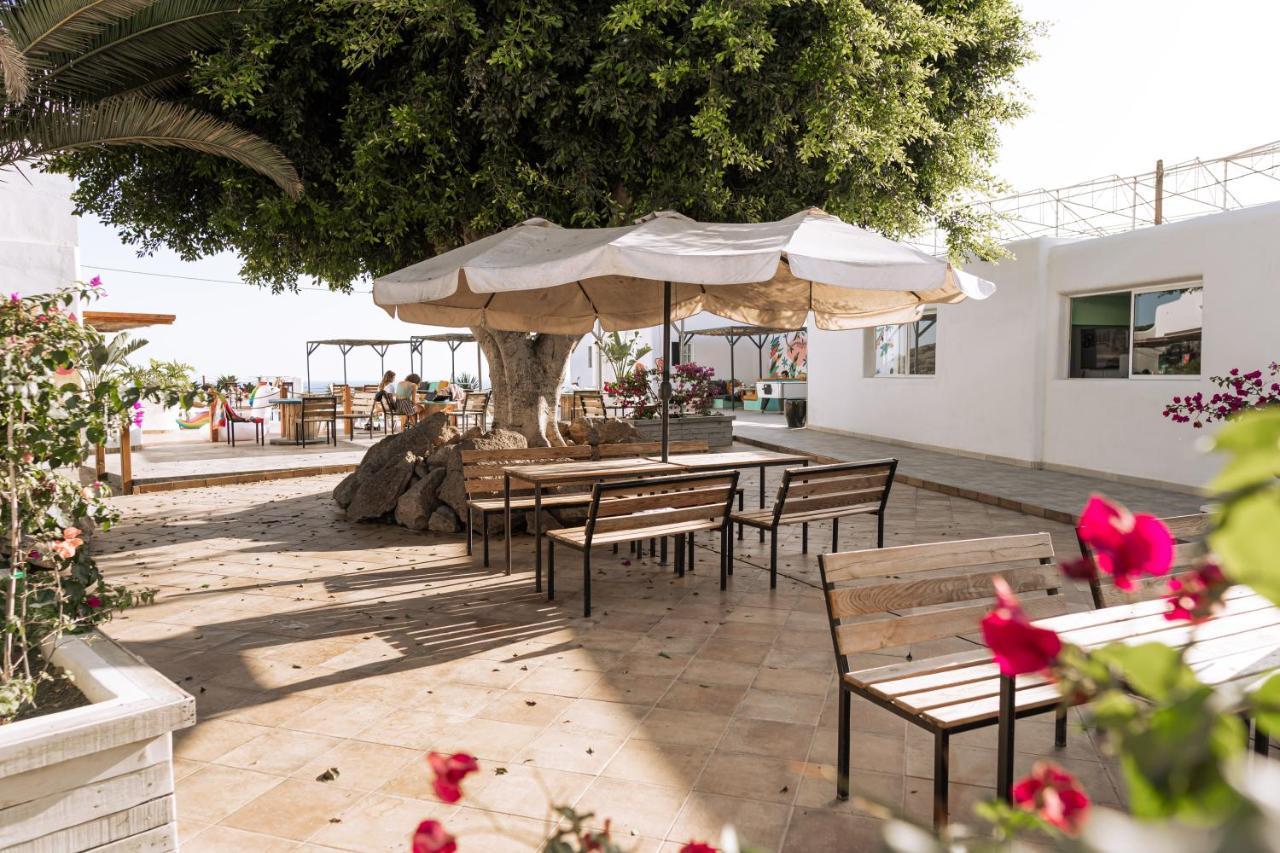 The Tree House Tenerife El Medano  Ngoại thất bức ảnh