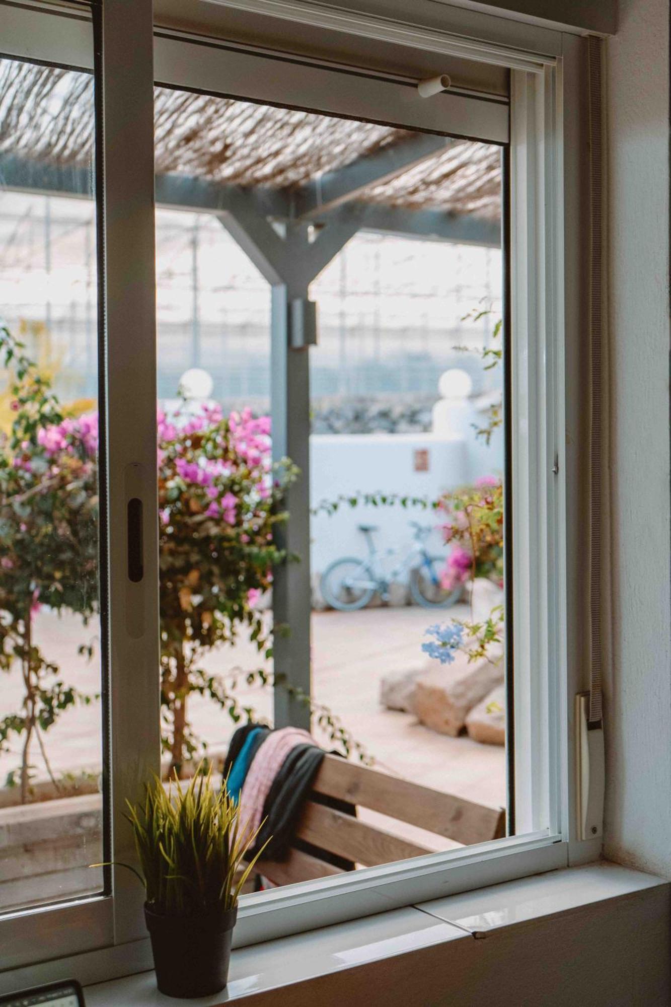 The Tree House Tenerife El Medano  Ngoại thất bức ảnh