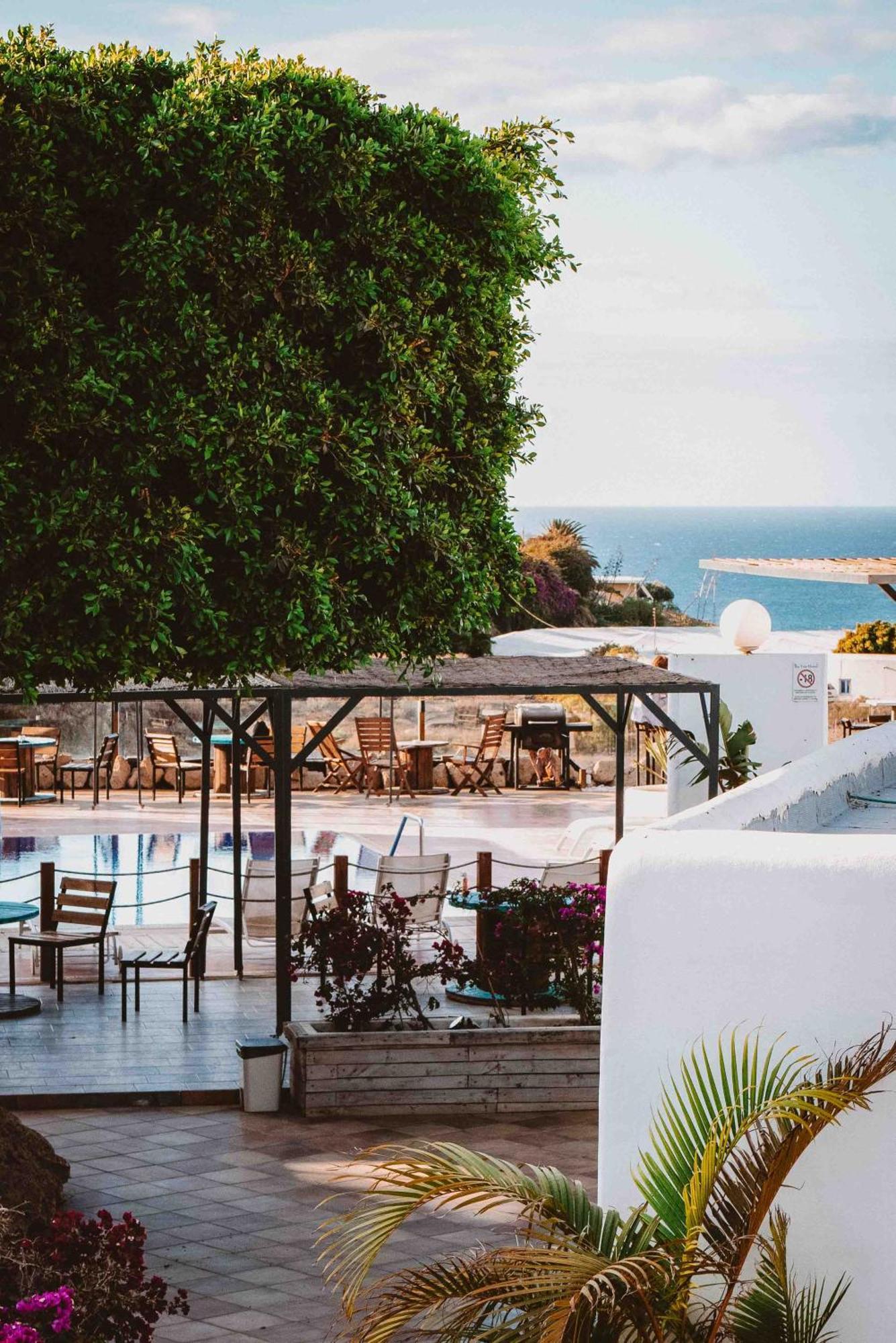 The Tree House Tenerife El Medano  Ngoại thất bức ảnh