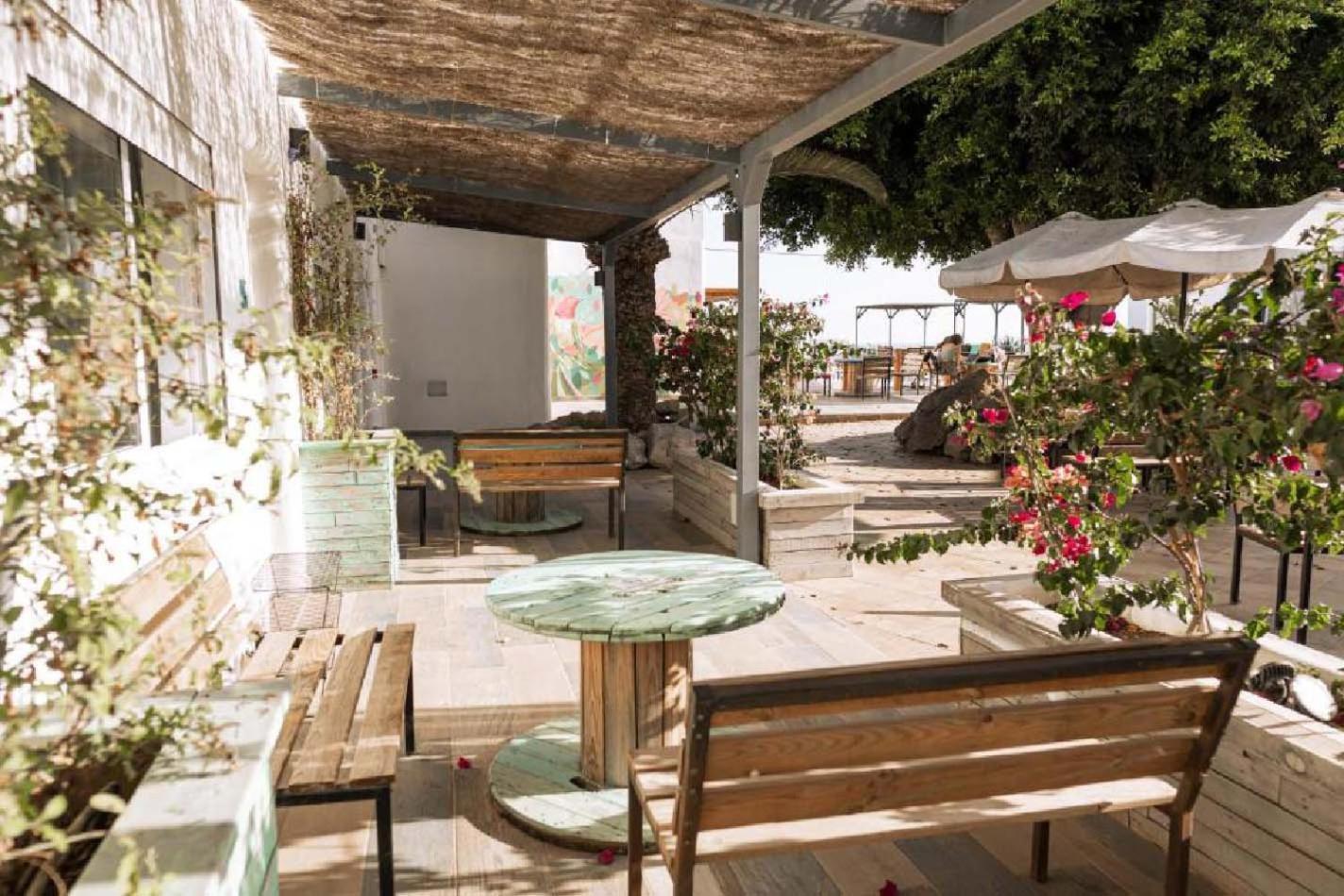 The Tree House Tenerife El Medano  Ngoại thất bức ảnh